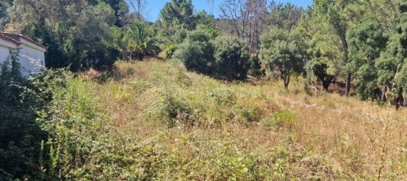  Land in Vila Franca de Xira, Portugal No. 275768 37