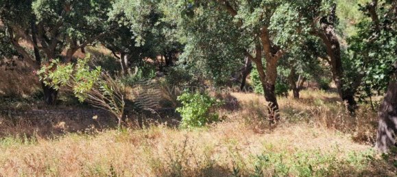  Land in Vila Franca de Xira, Portugal No. 275768 2