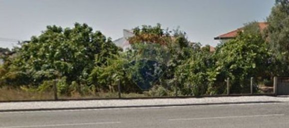 71m² Land in Marinha Grande, Portugal No. 68762 9