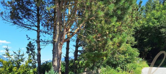 2 rooms Apartment in Sistrans, Austria No. 237616 9