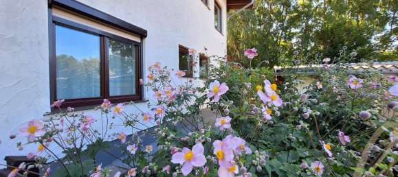 2 rooms Apartment in Sistrans, Austria No. 237616 4