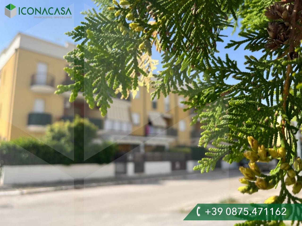 3 rooms Apartment in Campomarino, Italy No. 25001