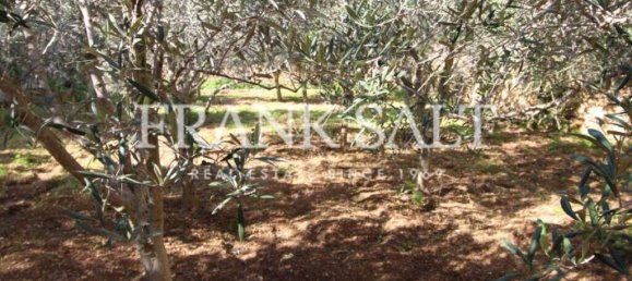 Дом с 4 спальнями в Муншар, Мальта № 11 7