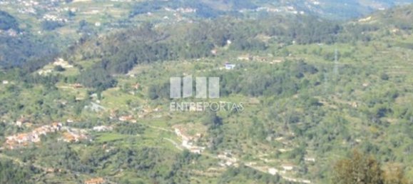 20000m² Land in Cinfaes, Portugal No. 69508 7