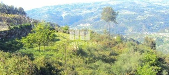 20000m² Land in Cinfaes, Portugal No. 69508 5