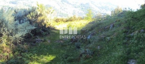 20000m² Land in Cinfaes, Portugal No. 69508 3