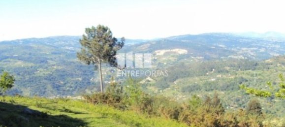 20000m² Land in Cinfaes, Portugal No. 69508 10