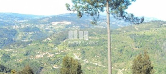 20000m² Land in Cinfaes, Portugal No. 69508 12