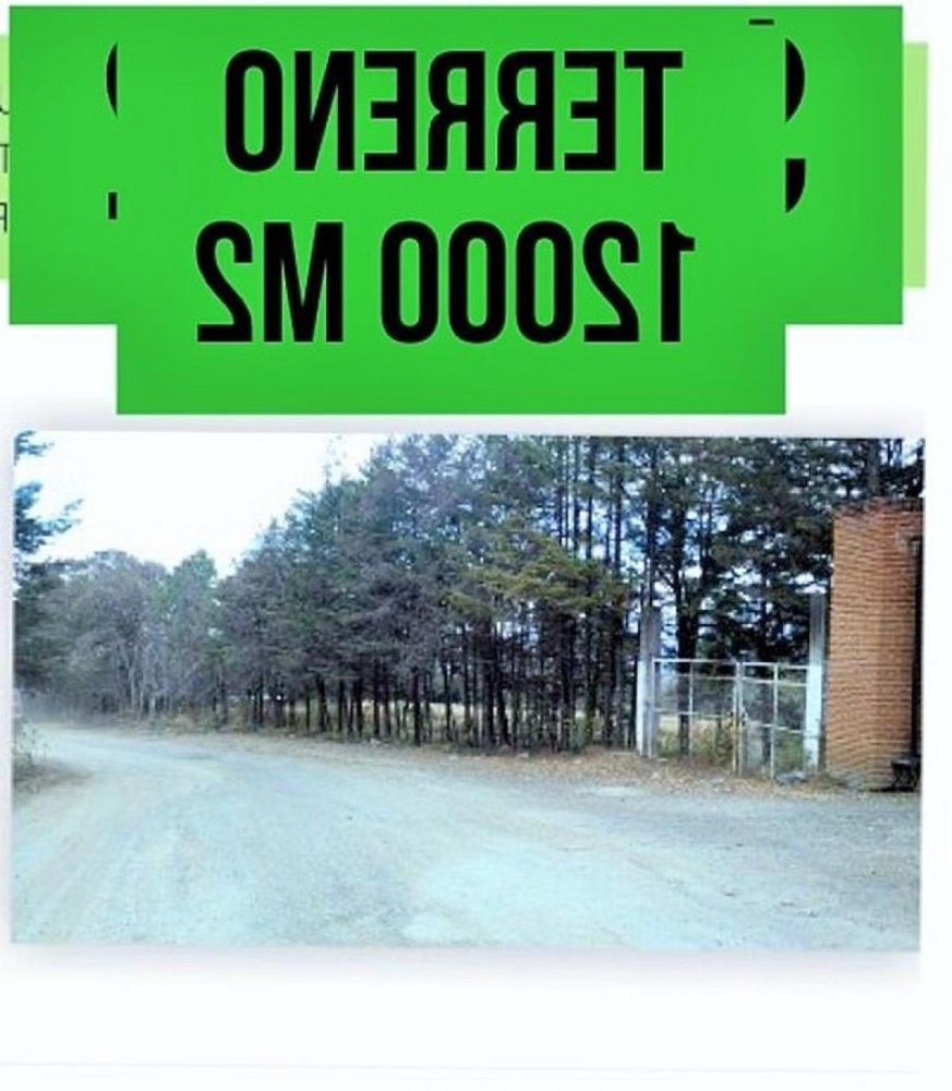 2 bedrooms Land in Mexico No. 205005