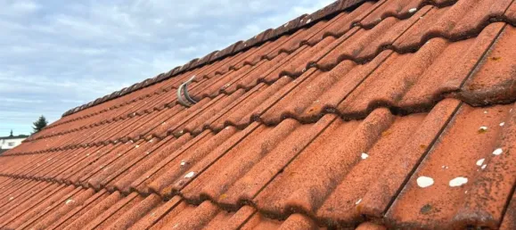 4 Schlafzimmer Haus in Chemnitz, Germany, Nr. 36476 60