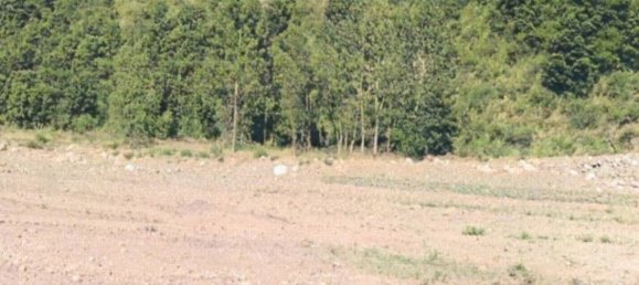 5970m² Land in Simeri Crichi, Italy No. 265609 3