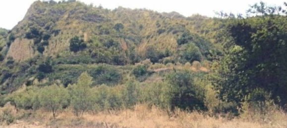 5970m² Land in Simeri Crichi, Italy No. 265609 7