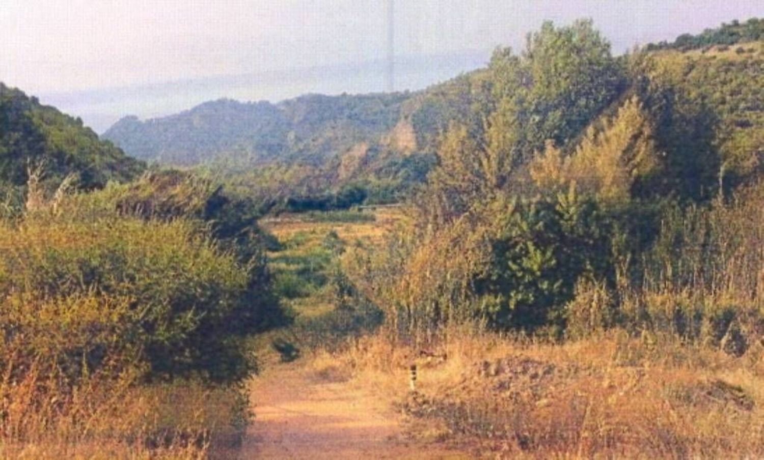 5970m² Land in Simeri Crichi, Italy No. 265609