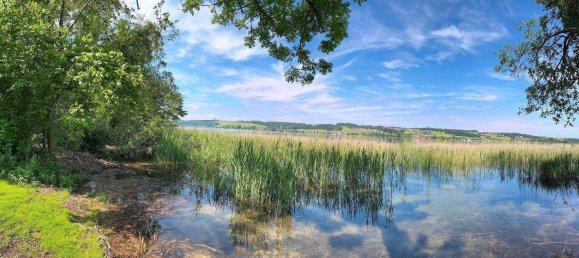 Terrain à Mattsee, Austria No. 200428 9