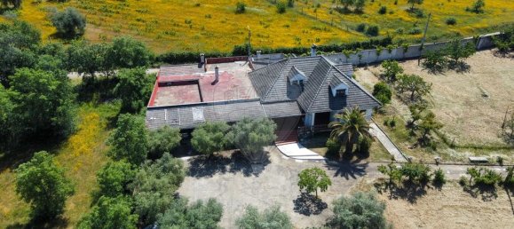 5 chambres Maison à Macedo de Cavaleiros, Portugal No. 169084 4