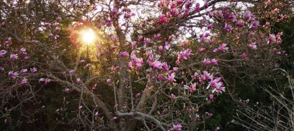 12 Schlafzimmer Villa in Bad Waltersdorf, Austria, Nr. 147500 19