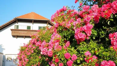 12 Schlafzimmer Villa in Bad Waltersdorf, Austria, Nr. 147500