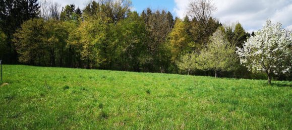 12 Schlafzimmer Villa in Bad Waltersdorf, Austria, Nr. 147500 26