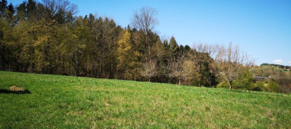 12 Schlafzimmer Villa in Bad Waltersdorf, Austria, Nr. 147500 21