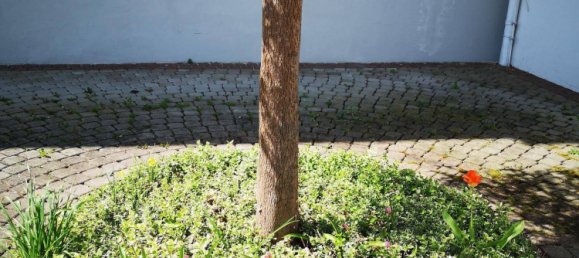 12 Schlafzimmer Villa in Bad Waltersdorf, Austria, Nr. 147500 12