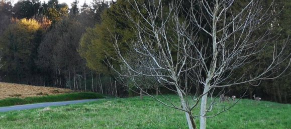 12 Schlafzimmer Villa in Bad Waltersdorf, Austria, Nr. 147500 17