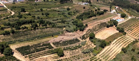 3 bedrooms House in Leiria, Portugal No. 186561 5