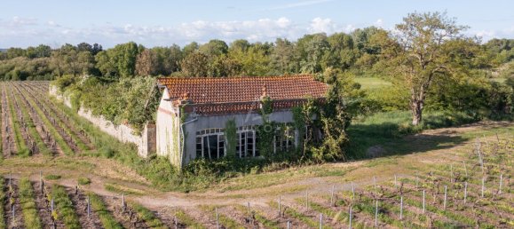 10 bedrooms House in Haute-Goulaine, France No. 343674 11
