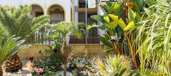 3 chambres Penthouse à Torrevieja, Spain No. 170251 48