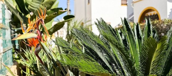 3 chambres Penthouse à Torrevieja, Spain No. 170251 39