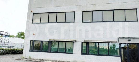 590m² Warehouse in Massa, Italy No. 374455 12
