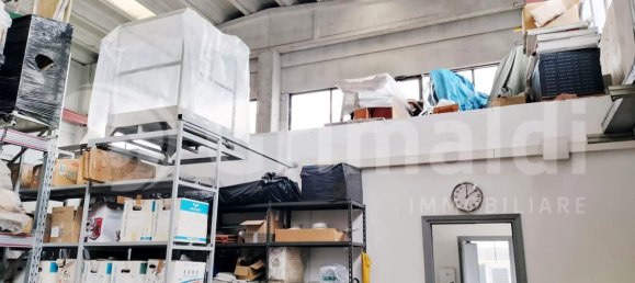 590m² Warehouse in Massa, Italy No. 374455 5