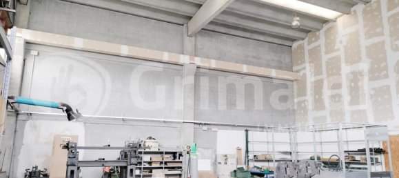 590m² Warehouse in Massa, Italy No. 374455 11
