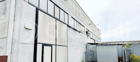 590m² Warehouse in Massa, Italy No. 374455 10
