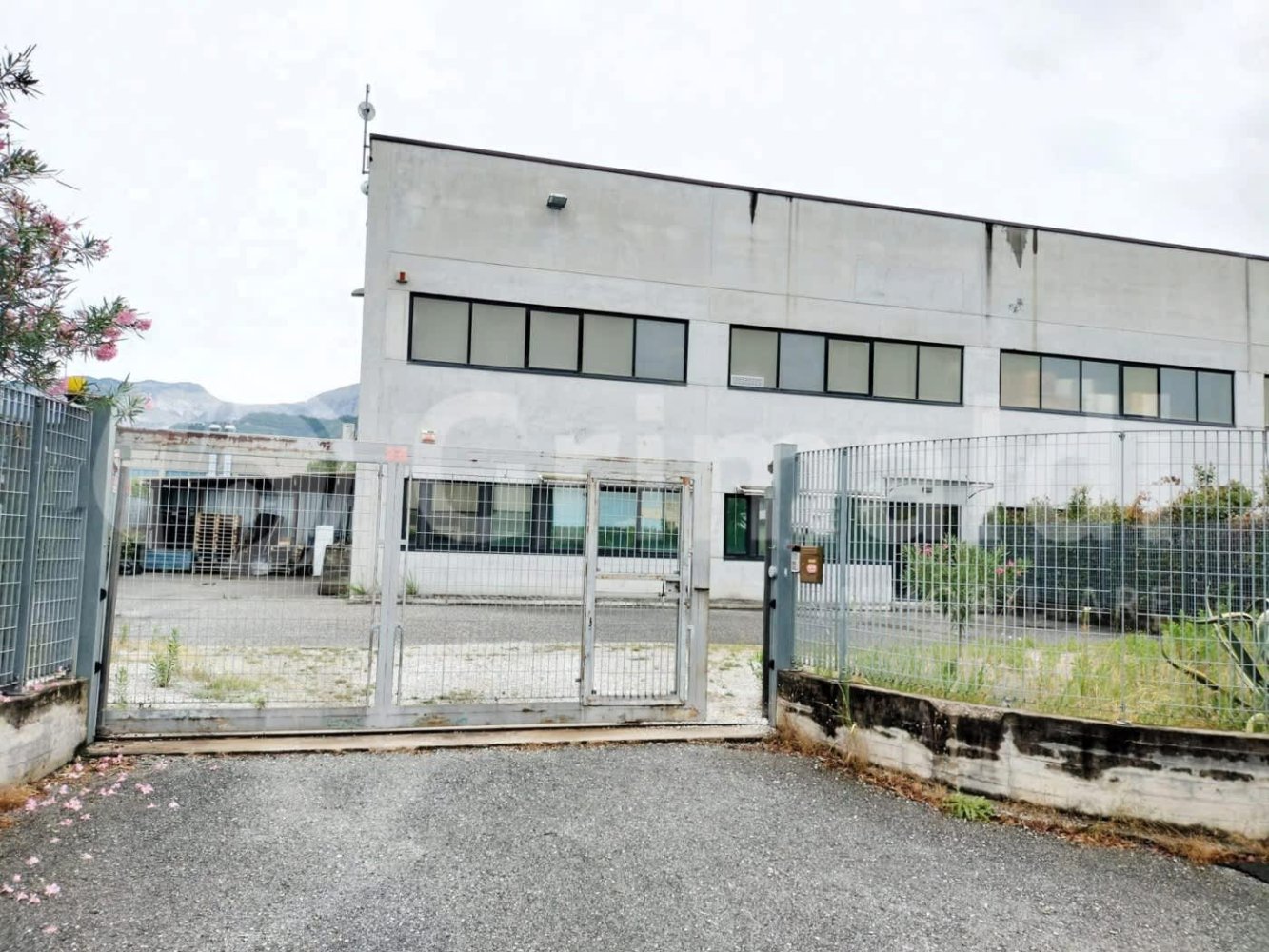 590m² Warehouse in Massa, Italy No. 374455