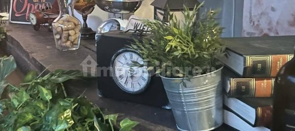 1-Zimmer Gewerbliche Immobilie in Rome, Italy, Nr. 222811 5