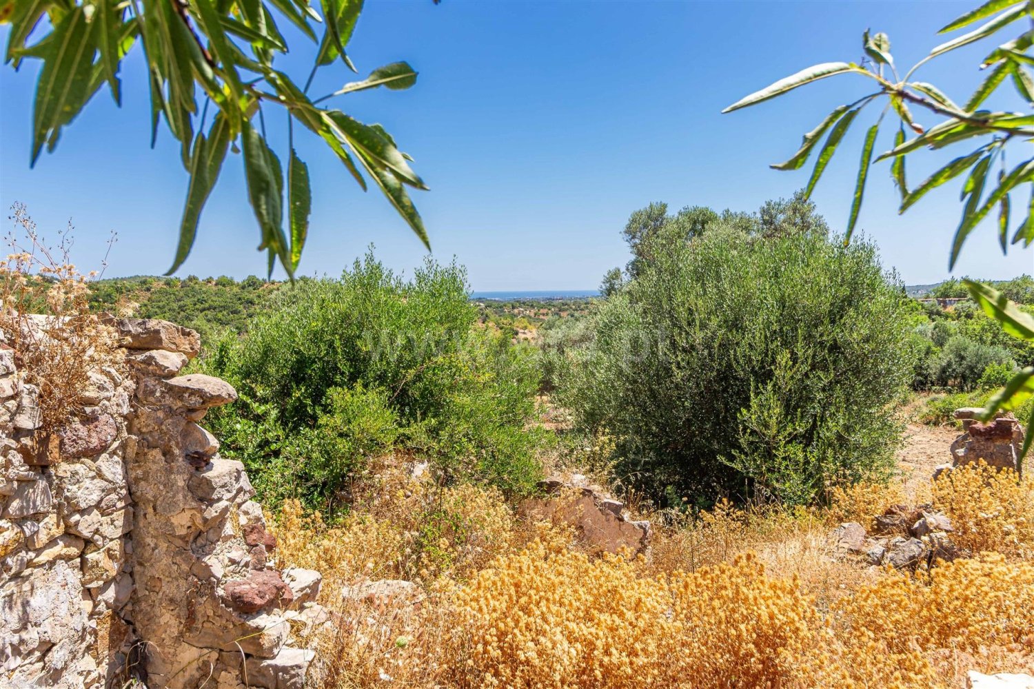 Terrain à Santa Catarina da Fonte do Bispo, Portugal No. 197351
