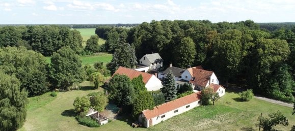 Cafe / Restaurant in Teltow-Fläming, Germany 506m², Nr. 310787 4