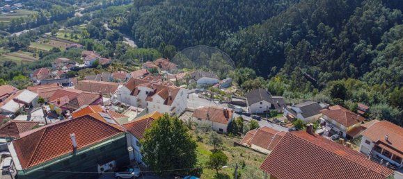 13275m² Land in Penacova, Portugal No. 80046 5