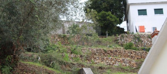 13275m² Land in Penacova, Portugal No. 80046 7