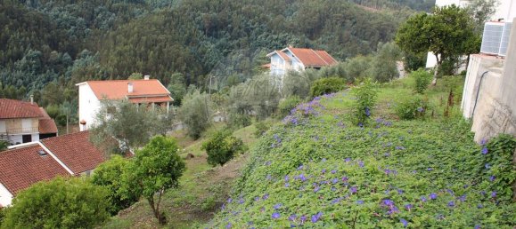 13275m² Land in Penacova, Portugal No. 80046 8