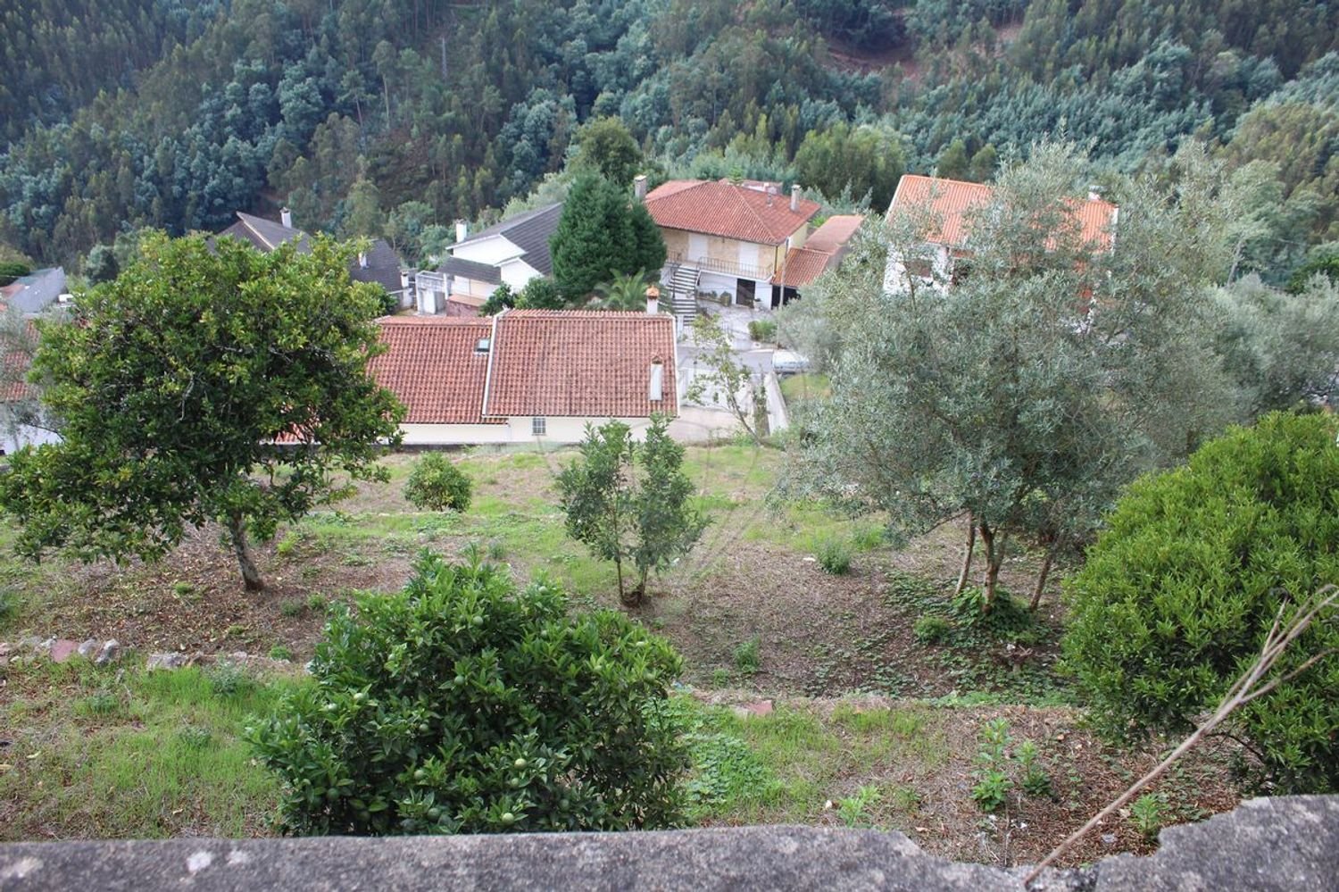 13275m² Land in Penacova, Portugal No. 80046