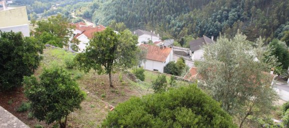 13275m² Land in Penacova, Portugal No. 80046 10