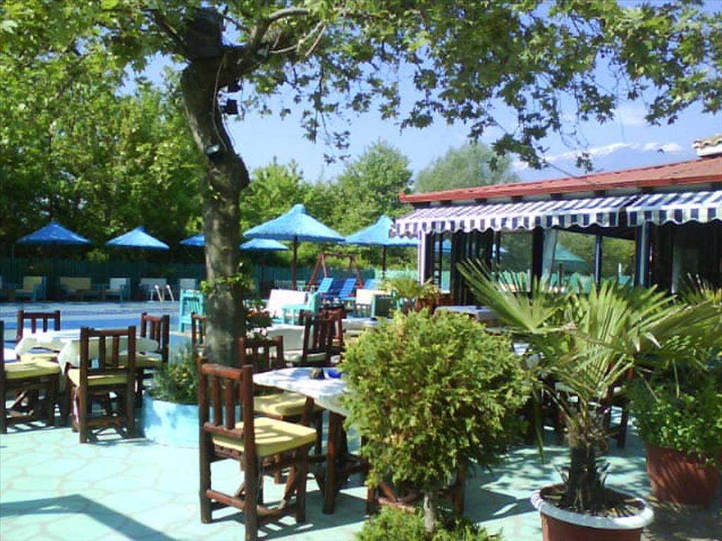 320m² Property in Pieria, Greece No. 8043