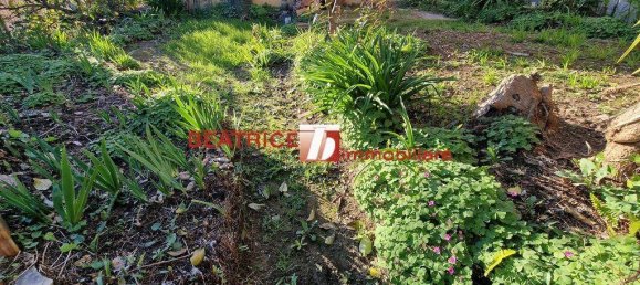 5 bedrooms House in Massarosa, Italy No. 192318 13