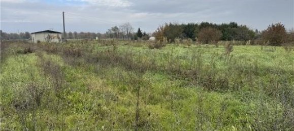 قطعة أرض في Florence, Italy 10900متر مربع رقم 27065 10