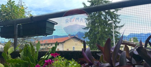 4 chambres Appartement à Udine, Italy No. 295484 23