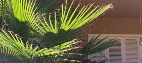 5 chambres Maison à Palermo, Italy No. 360028 10