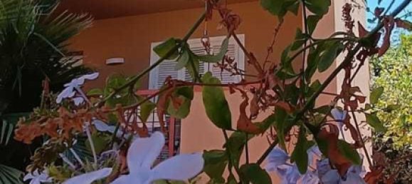 5 chambres Maison à Palermo, Italy No. 360028 11