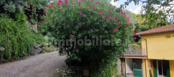 3 chambres Villa à Miasino, Italy No. 64766 35