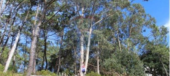 871m² Land in Mafra, Portugal No. 69667 9